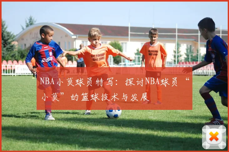 NBA小莫球员特写：探讨NBA球员“小莫”的篮球技术与发展