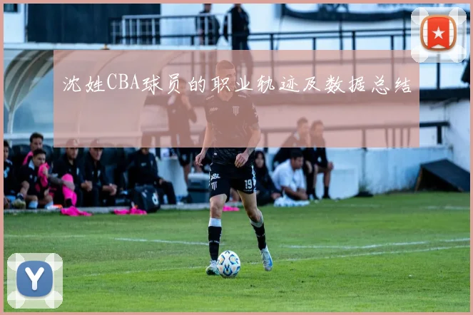 沈姓CBA球员的职业轨迹及数据总结