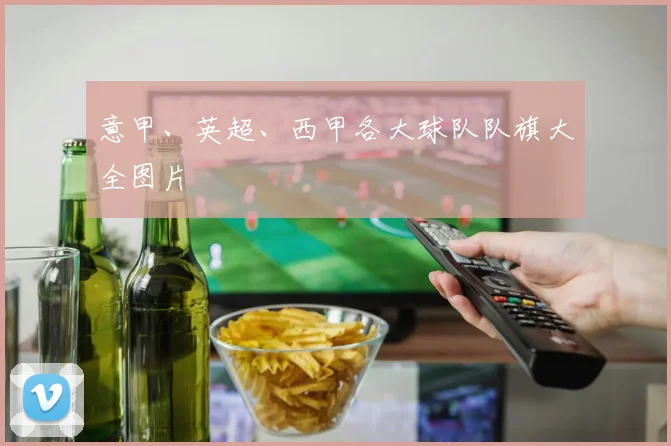 意甲、英超、西甲各大球队队旗大全图片