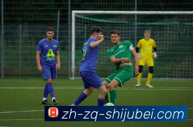 多媒体互动体验