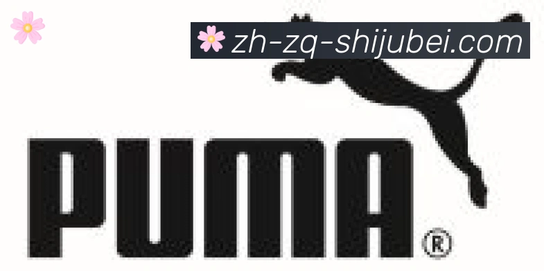 世界杯赛程表合作伙伴